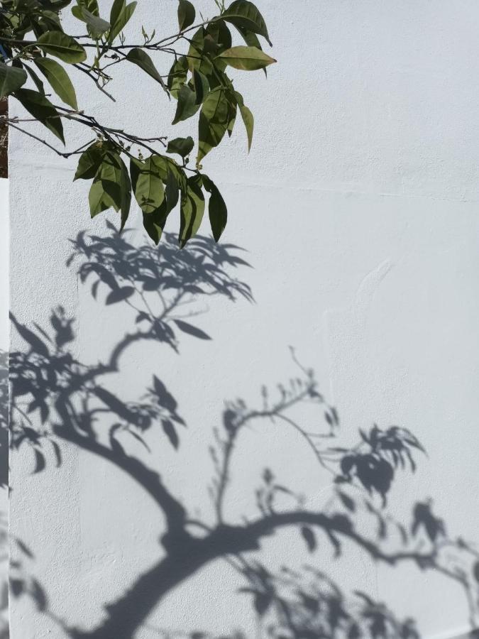 Ferienwohnung Casa Morais Pinto Reguengos de Monsaraz Exterior foto